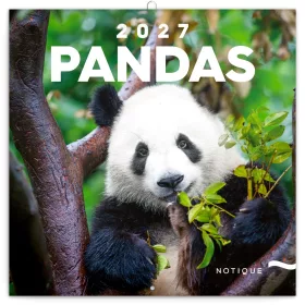   Falinaptár képes lemeznaptár 300x300mm, Pandas Realsystem 2027.
