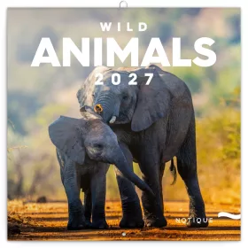   Falinaptár képes lemeznaptár 300x300mm, Wild Animals Realsystem 2027.