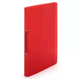   Gyűrűskönyv A4, 2 gyűrűs 2cm gerinc áttetsző PP, Karton P+P Lines piros