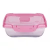 Ételtároló doboz 1 literes csatos és szelepes mikrós-fagyasztós_lányos színek
