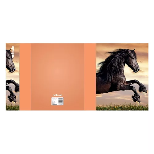 Füzetbox, A5, Ló, Nebulo