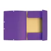 Gumis mappa karton  prespán A/4 Exacompta lila