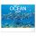 Falinaptár képes  480×330mm Ocean Wildlife Realsystem 2026.