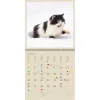 Falinaptár képes 300 x 300 mm, fehér lapokkal Cats Dayliner 2027.