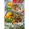 Falinaptár képes 230 x 330 mm, fehér lapokkal Ízek világa Dayliner 2027.