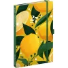 Keménytáblás tervező krémszínű lapokkal, kétheti beosztással, leszorító gumiszalaggal Lemons 130x210mm, Presco