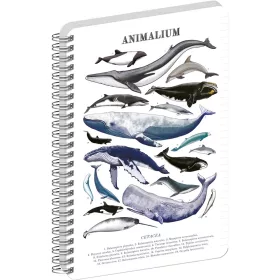   Jegyzetfüzet ikerspirálos Animalium – Marine Life, vonalas, 14,8x21cm A5, Presco
