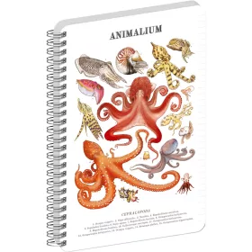   Jegyzetfüzet ikerspirálos Animalium – Cephalopods, vonalas, 21x29,7cm A4, Presco