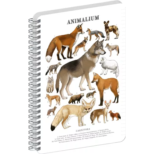 Jegyzetfüzet ikerspirálos Animalium – Canines, vonalas, 14,8x21cm A5, Presco