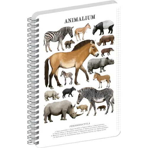 Jegyzetfüzet ikerspirálos Animalium – Perissodactyls, négyzethálós, 21x29,7cm A4, Presco