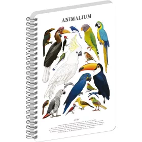   Jegyzetfüzet ikerspirálos Animalium – Birds, sima, 14,8x21cm A5, Presco