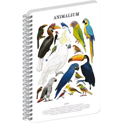 Jegyzetfüzet ikerspirálos Animalium – Birds, sima, 14,8x21cm A5, Presco