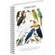 Jegyzetfüzet ikerspirálos Animalium – Birds, sima, 14,8x21cm A5, Presco