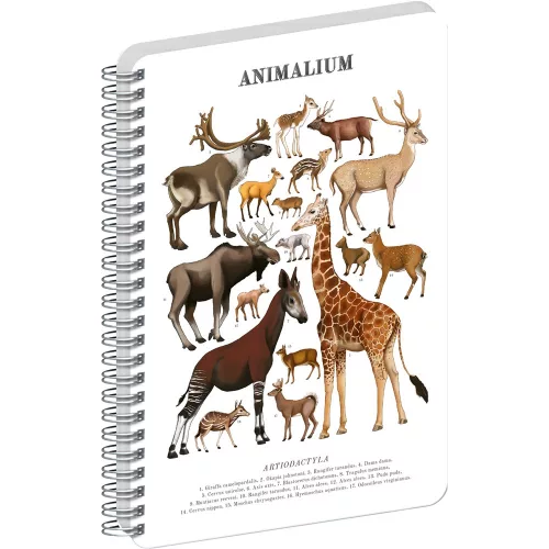 Jegyzetfüzet ikerspirálos Animalium – Artiodactyls, sima, 14,8x21cm A5, Presco