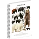 Jegyzetfüzet ikerspirálos Animalium – Bears, sima, 21x29,7cm A4, Presco
