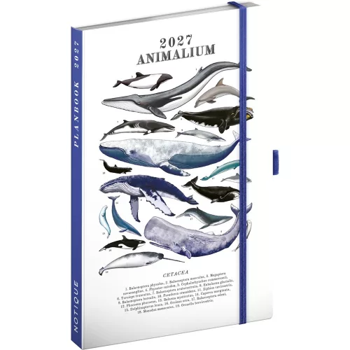 Keménytáblás tervező krémszínű lapokkal, kétheti beosztással, leszorító gumiszalaggal Marine Life 130x210mm, Presco
